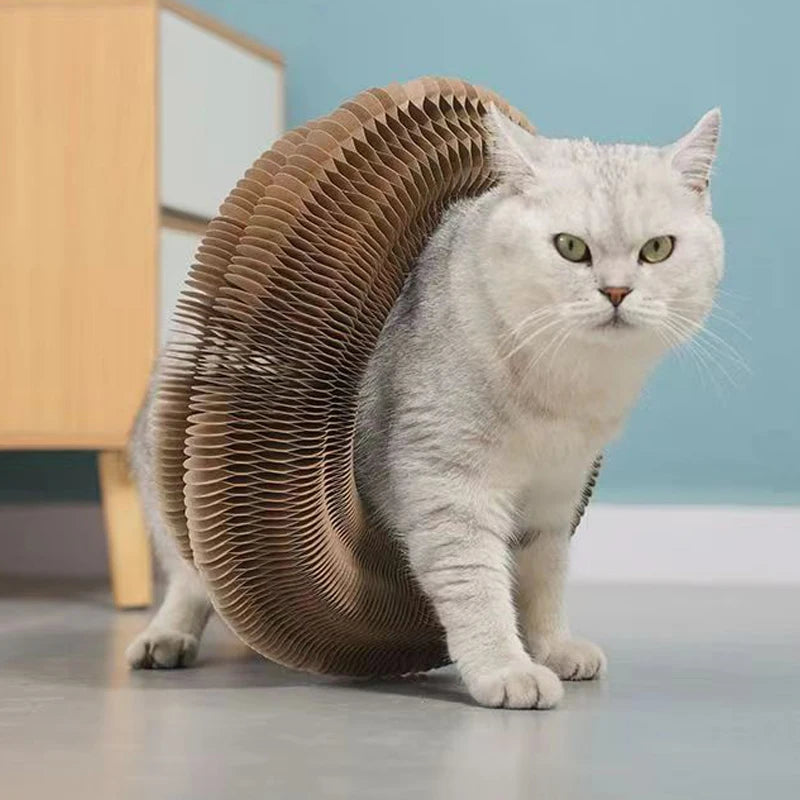 Juguete de pelota interactiva mágica para gatos