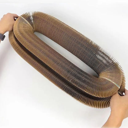 Juguete de pelota interactiva mágica para gatos