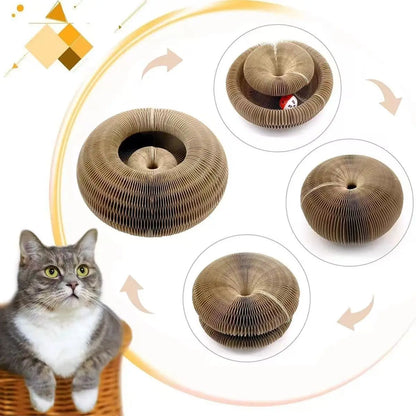 Juguete de pelota interactiva mágica para gatos