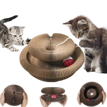 Juguete de pelota interactiva mágica para gatos